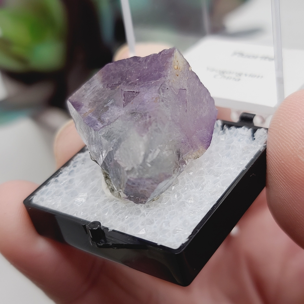Purple & Blue YGX Fluorite Cube Thumbnail Mineral Specimen